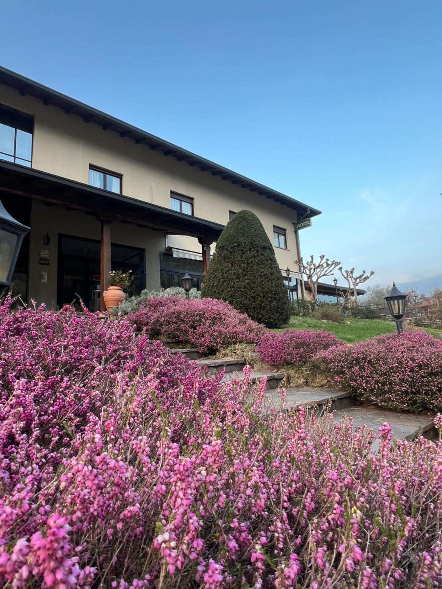 Hotel Merloni Grandola ed Uniti ภายนอก รูปภาพ