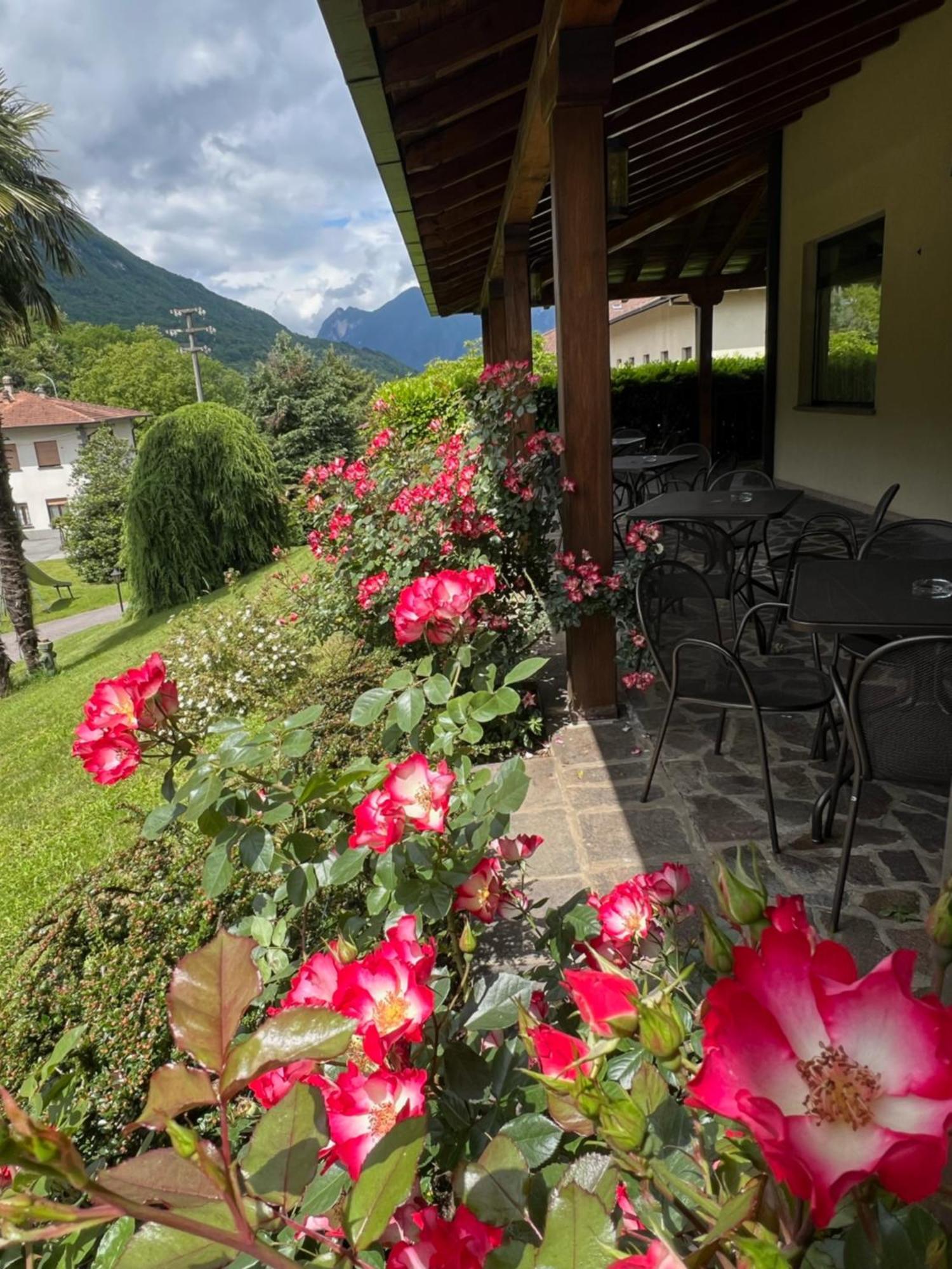 Hotel Merloni Grandola ed Uniti ภายนอก รูปภาพ